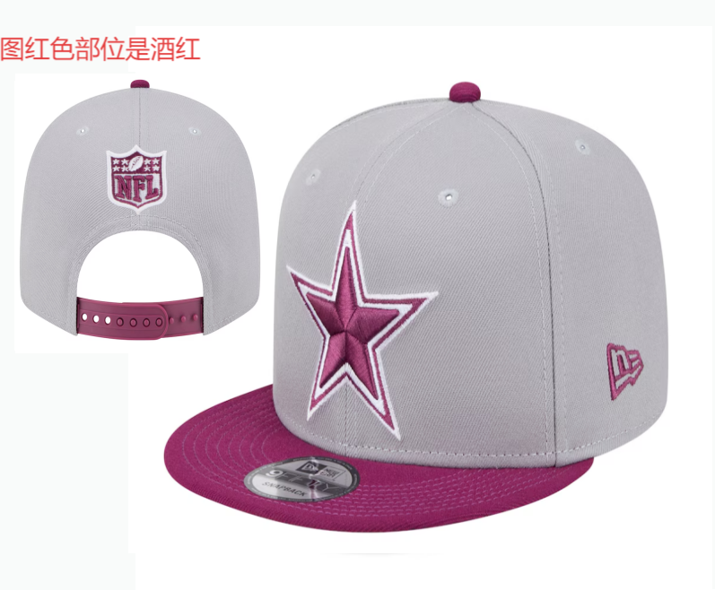 2026 hat 0019->nfl hats->Sports Caps